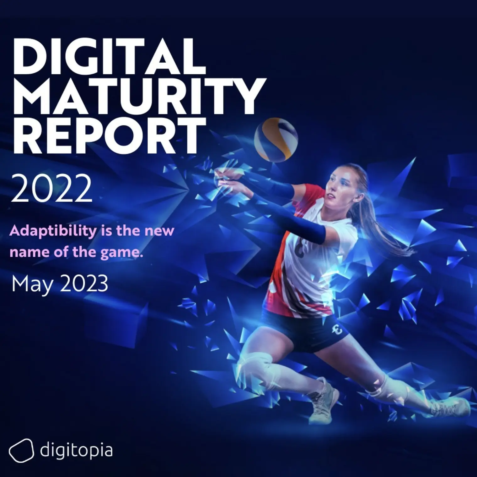 Digital Maturity Index 2022 Report Digitopia