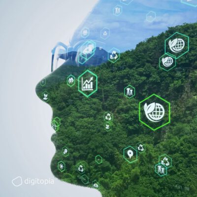 Leveraging Business Innovation for Sustainable Development