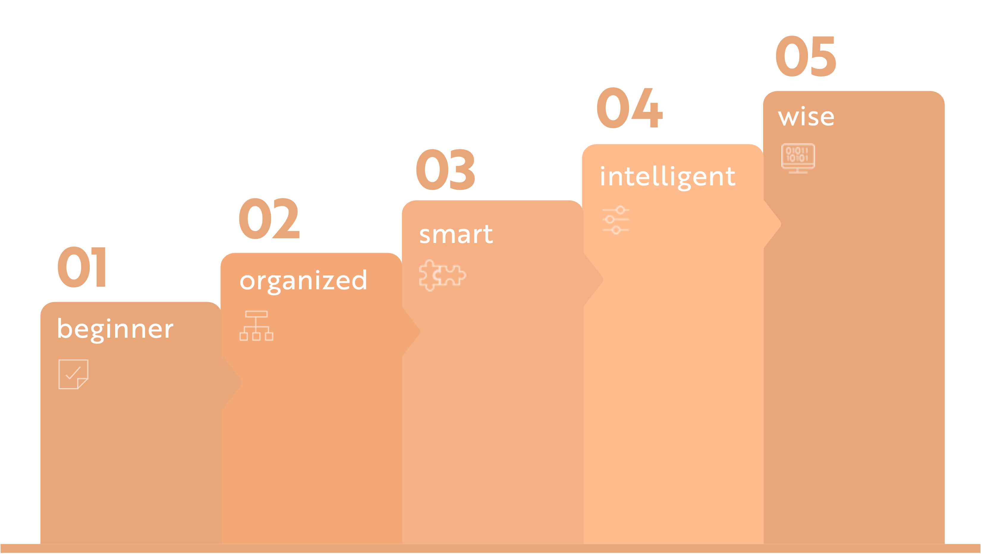 Artificial Intelligence Maturity Levels