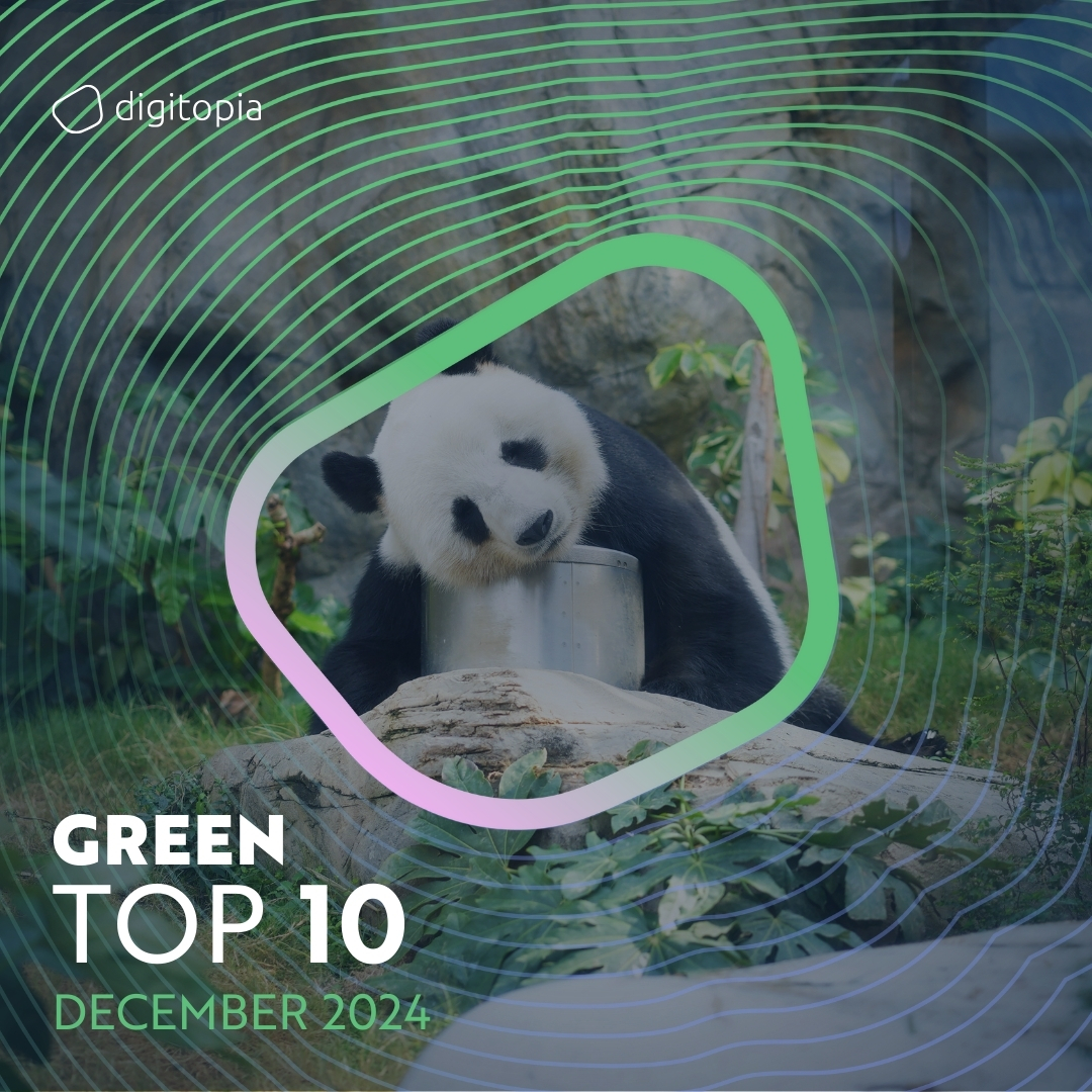 green top 10 december 2024