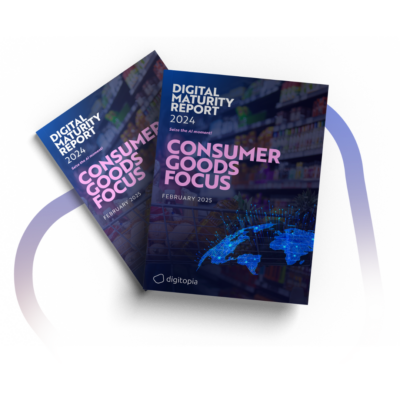 DMI Report 2024 - Consumer Goods Focus Mockup