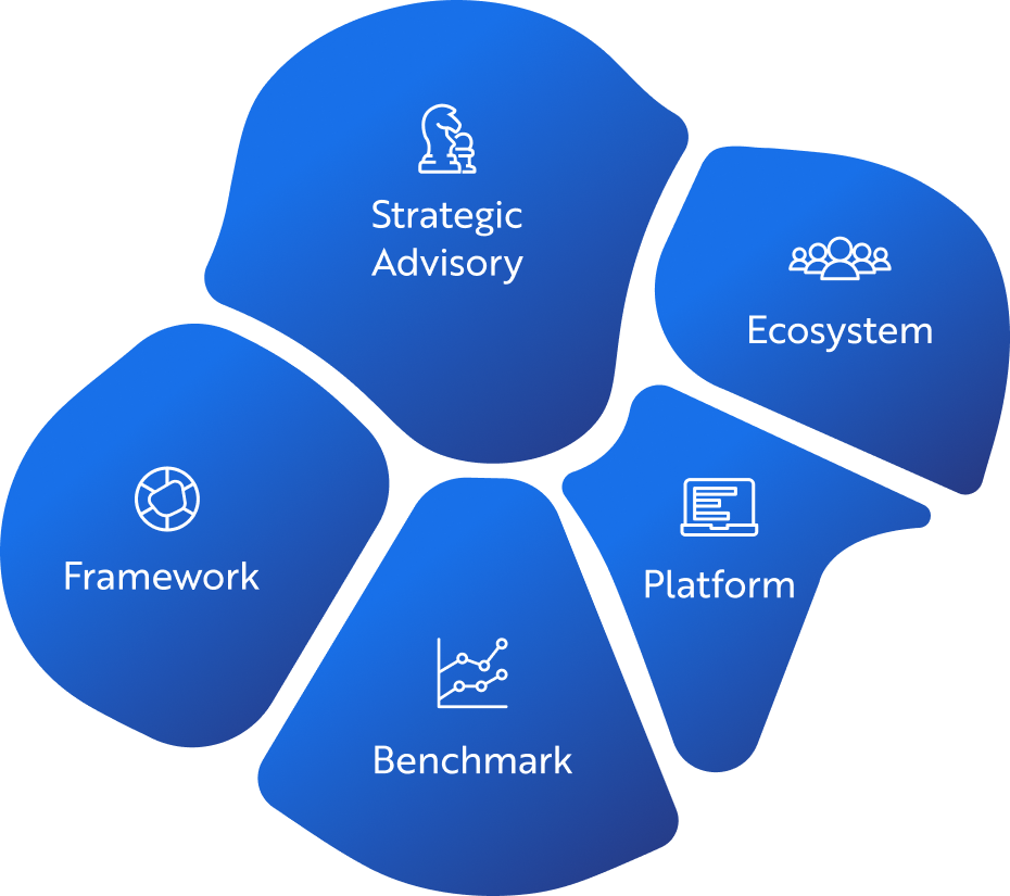 Digital Transformation Management