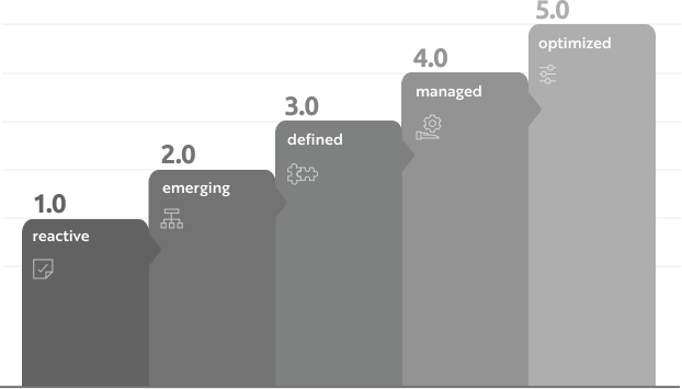 IT maturity levels