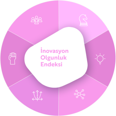 inovasyon olgunluk modeli